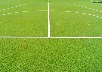 soccer field and grass