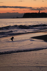 鎌倉　七里ヶ浜の海岸がオレンジ色に染まる夕景　江ノ島と富士山のシルエット
