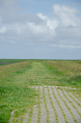 Rund um den Leuchtturm Pilsum