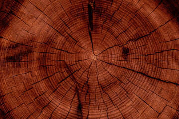 photo white textured background