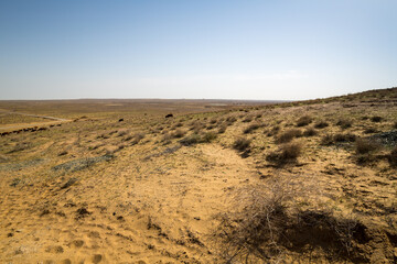 View of the desert in the Chilpik region of Karakalpakstan
