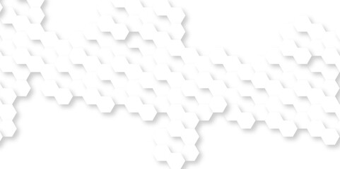 Abstract background with hexagon, modern abstract vector polygonal pattern. Futuristic abstract honeycomb technology white background. Luxury white hexagon pattern.
