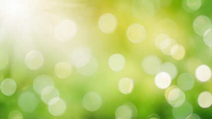 Fototapeta premium Calm Nature Bokeh for Wellness Branding