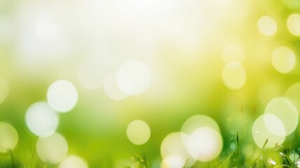 Obraz premium Calm Nature Bokeh for Wellness Branding