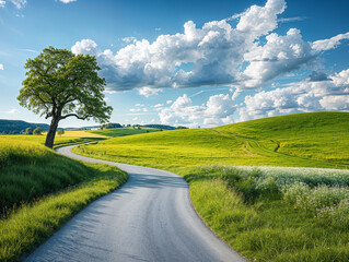Naklejka premium A winding road leading through the green fields