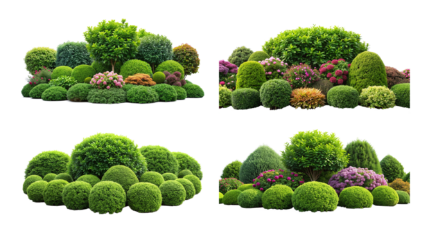 Four types of bushes and trees in various shapes tall and slender, short and round, bushy and wide, and spiky and irregular.