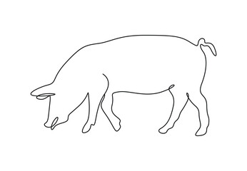 Pig in one continuous line drawing vector illustration. Pro vector