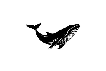 Whale vector design black color