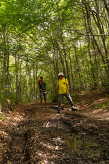 Obraz premium couple of smiling mature friends doing hiking in mountain woods dressed in sports clothes