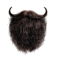 Curly stylish beard with mustache, cut out