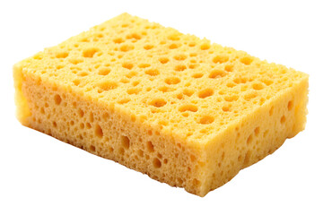 Sponge Isolated on Transparent Background