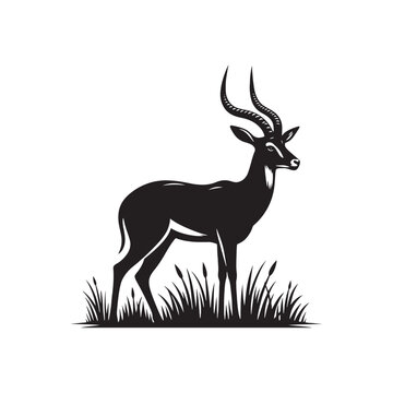 recommend clip art: Modern antelope silhouette for all kinds of work - wildlife silhouette - antelope illustration - minimalistic antelope vector
                    