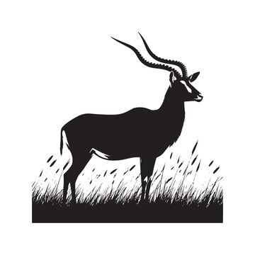 recommend clip art: Detailed antelope silhouette for art and design - mammal silhouette
                    
