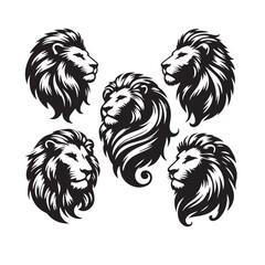 black and white rooster