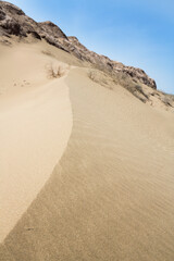 View of the desert in Karakalpakstan