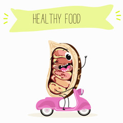 Cute cola nut characters, funny nuts, with different activities, outdoor, sports, musical instrument.