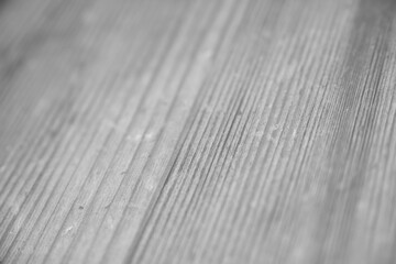 Interior, floorboards and wood as grey background for home design, laminate and decor. Hardwood, planks and oak for house flooring with building material or tile and pine for surface and ground