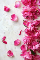 A light background framed with vibrant pink peony petals , color pop contrast