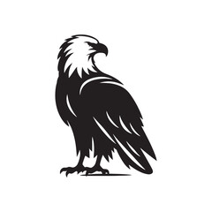 Detailed bald eagle silhouette for modern designs - bald eagle black vector
