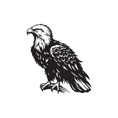 Versatile bald eagle silhouette for art and design - bald eagle black vector
