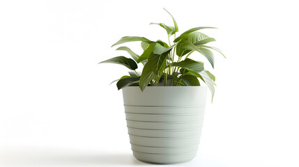 Obraz premium Empty flower pot isolated on a white background Decorative plant pot cutout Greenish gray plastic container for growing indoor plants Vertical striped planter for interior design Front : Generative AI