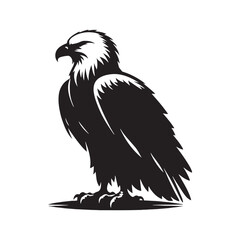 Bald eagle silhouette for modern artistic work - bald eagle illustration - minimallest bald eagle vector
