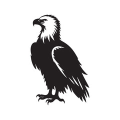 Bald eagle silhouette for creative inspiration - bald eagle illustration - minimallest bald eagle vector
