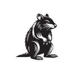 Modern bandicoot silhouette for advertising materials - bandicoot illustration - minimalistic bandicoot vector
