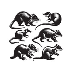 Modern bandicoot silhouette for innovative projects - bandicoot illustration - minimalistic bandicoot vector
