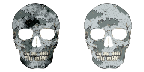 Camouflage skull set illustration, tee shirt graphics, vectors, typography, skull set with pattern, isolated white background. Dtf and dtg print for tee, sweatshirt and hoodie.