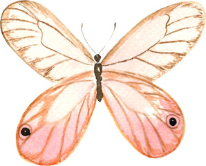 vintage elements butterflies bows flowers