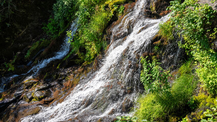 Catawba Falls cascading over rocks, surrounded by lush green vegetation in a serene natural setting.