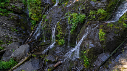 Catawba Falls cascading over rocks, surrounded by lush green vegetation in a serene natural setting.