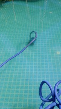 Pool maintenance with automatic robot. cleaner the bottom of the pool.