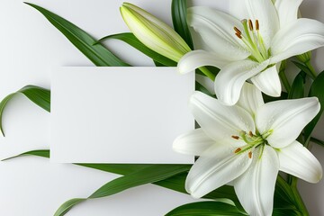 Obraz premium White lilies with leaves and blank card on white background, perfect for greeting cards or nature-themed designs.