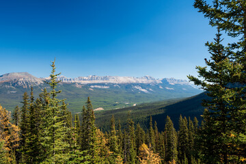 Scenery of Canadian Rockies mountain and forest. Banff National Park, Alberta, Canada.