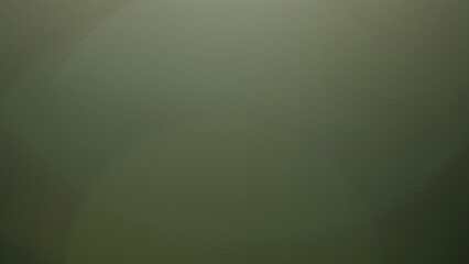 Real lens flare with strong sun backlight and light leaks