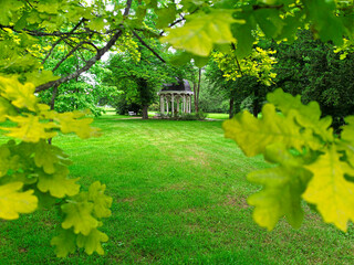 green landscape in the central park of Marianske Lazne in summer