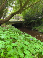 bridge over the river in a city park in Marianske Lazne
