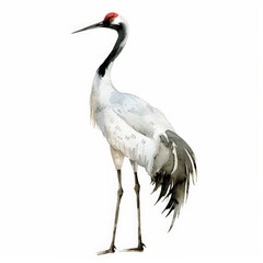 Obraz premium A majestic crane with long legs, depicted in rich watercolor hues, beautifully isolated on a pristine white background