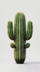 Majestic saguaro cactus with multiple arms, intricate spines, and subtle age marks, towering against a pristine white background