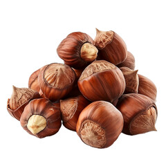 hazelnuts isolated on white background