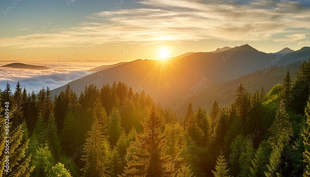 Sticker sunrise over mountain forest