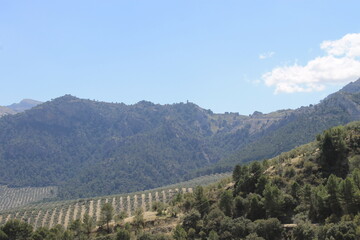 Tiscar, Jaén - 2017 - 18