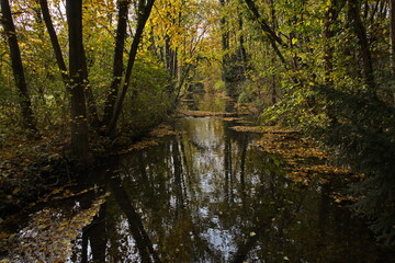 Autumn in castle garden in Pottendorf,Lower Austria,Austria,Europe
