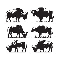 Unique Buffalo silhouette in clean design - Buffalo black vector
