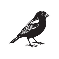 Minimalist Canary silhouette in artistic design - Canary black vector
