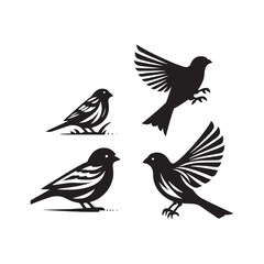 Clear Canary silhouette for artistic purposes - Canary black vector
