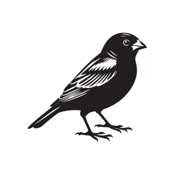recommend clip art: Minimalist Canary silhouette in artistic design - Canary black vector
                    