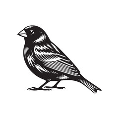 Simplified Canary silhouette for digital designs - Canary illustration - minimallest Canary vector

